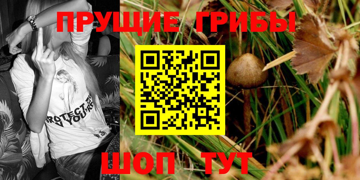 Галлюциногенные грибы Cubensis Урай